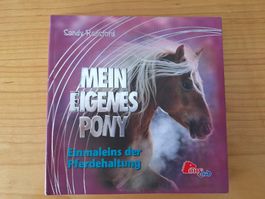 Buch: Mein eigenes Pony, Sandy Ransford