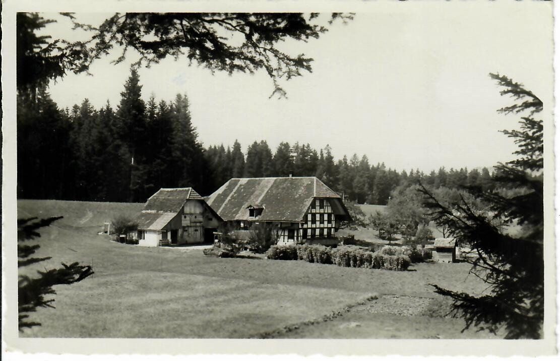 Cartoline postali: Waldeck - Arnisäge bei Biglen Emmenthal – Usato da Hochdorf venduto da Ziegel-16