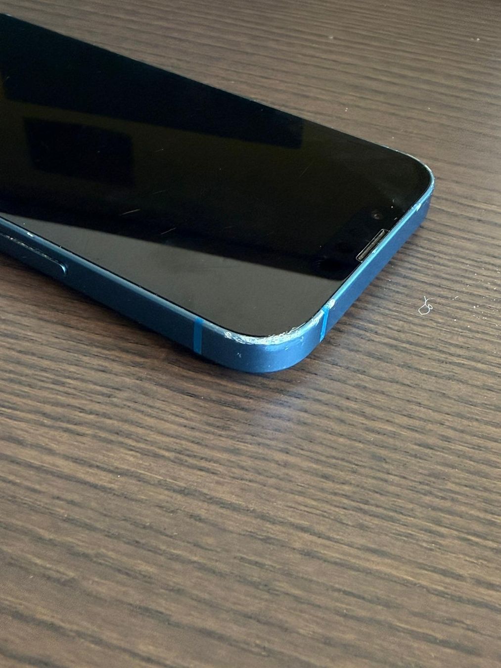 Apple Telefoni cellulari / Smartphones: Apple iPhone 13 Blau - 128GB – Usato da Zürich venduto da leon_Geertsen 6