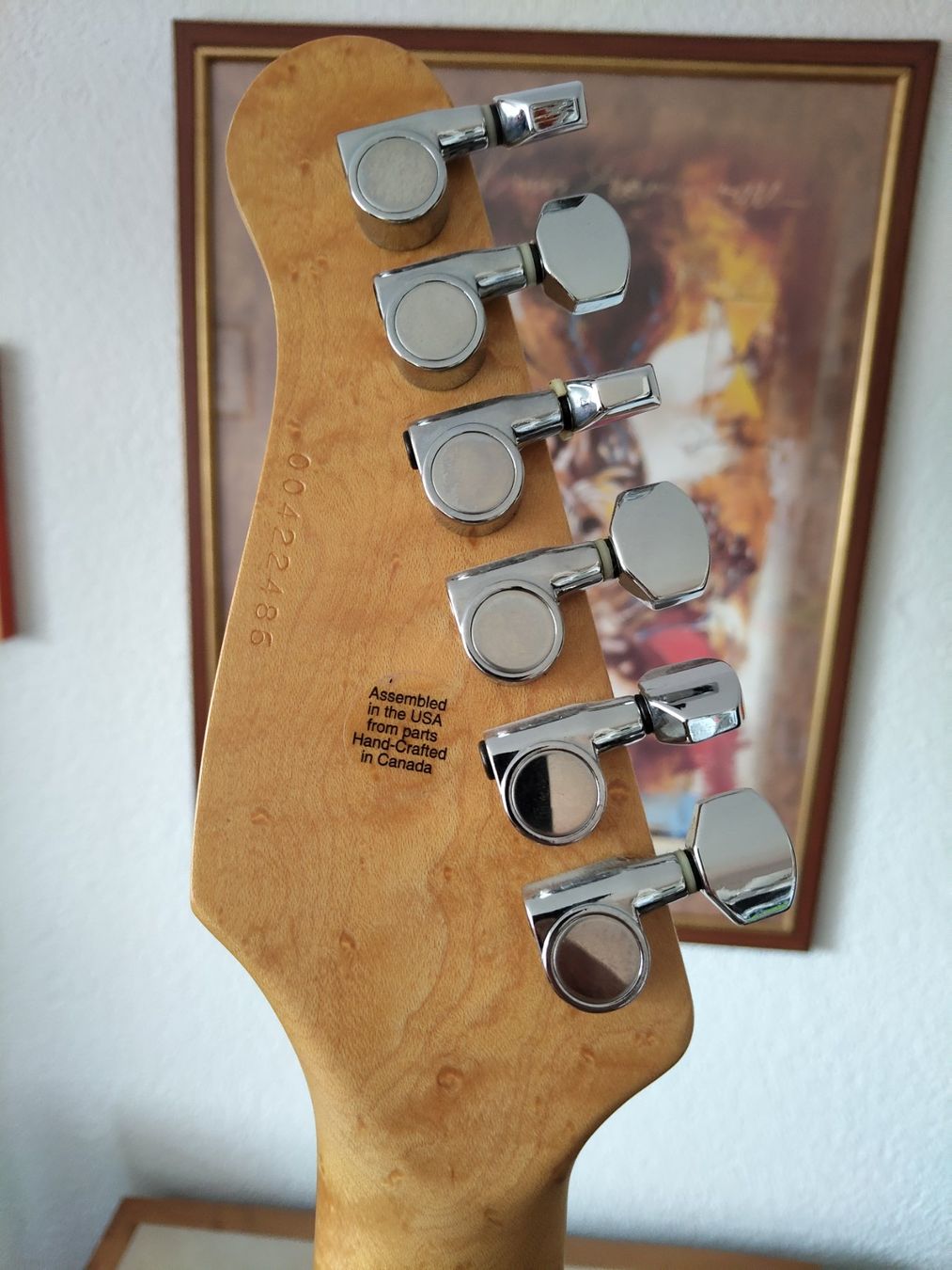 Godin Musikinstrumente: Godin SD – Gebraucht aus Brügg BE von Rajka5 6