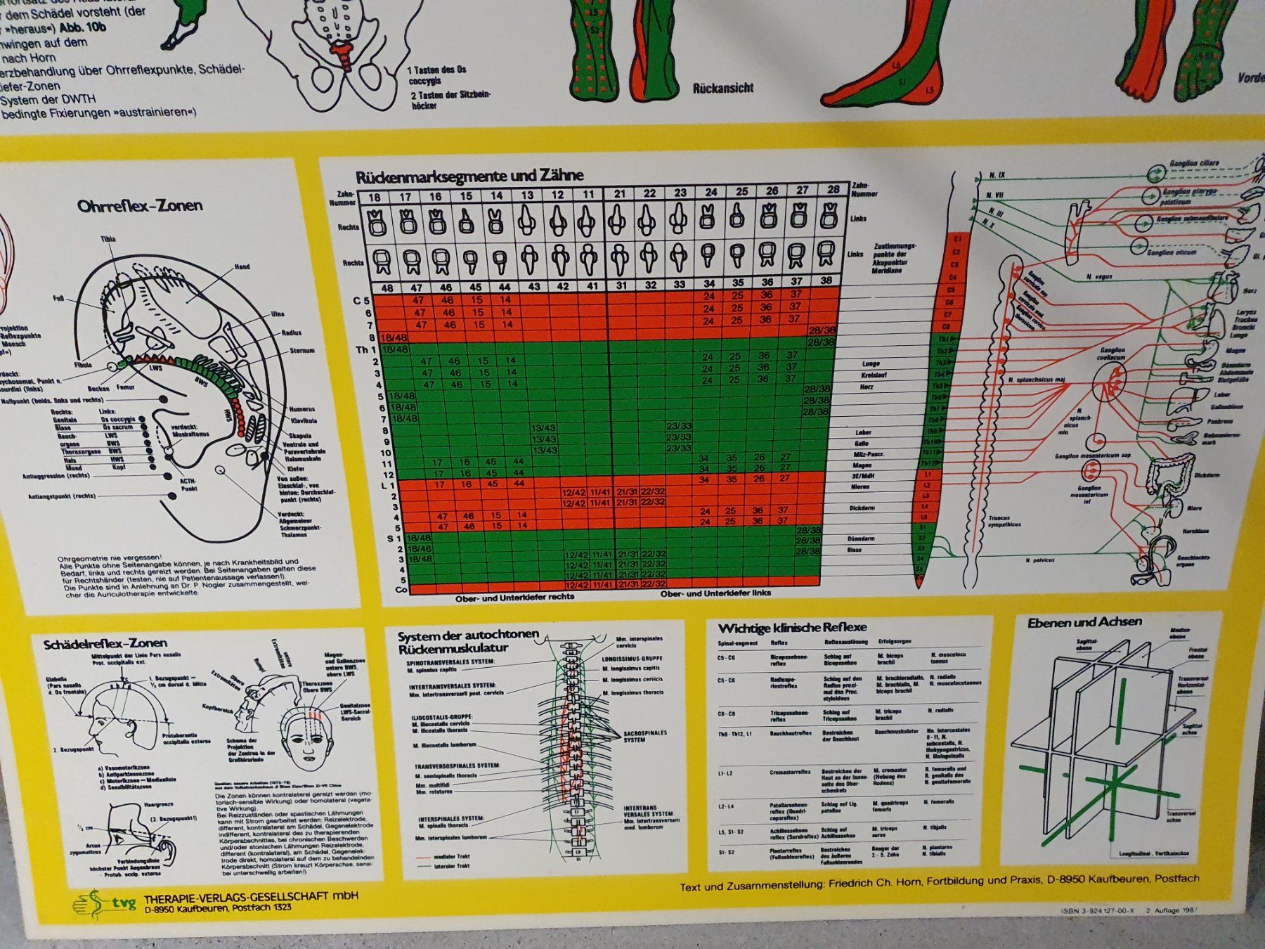 Foto & Immagini: Dynamische Wirbelsäulen-Therapie, Arbeitstafeln – Usato da Rieden AG venduto da willy52 1