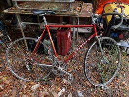 Chesini Vintage Rennrad mit Campagnolo Komponenten 
