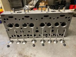 Perkins Zylinderkopf D4.203 revidiert im Austausch