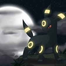 Profile image of SenseiS3
