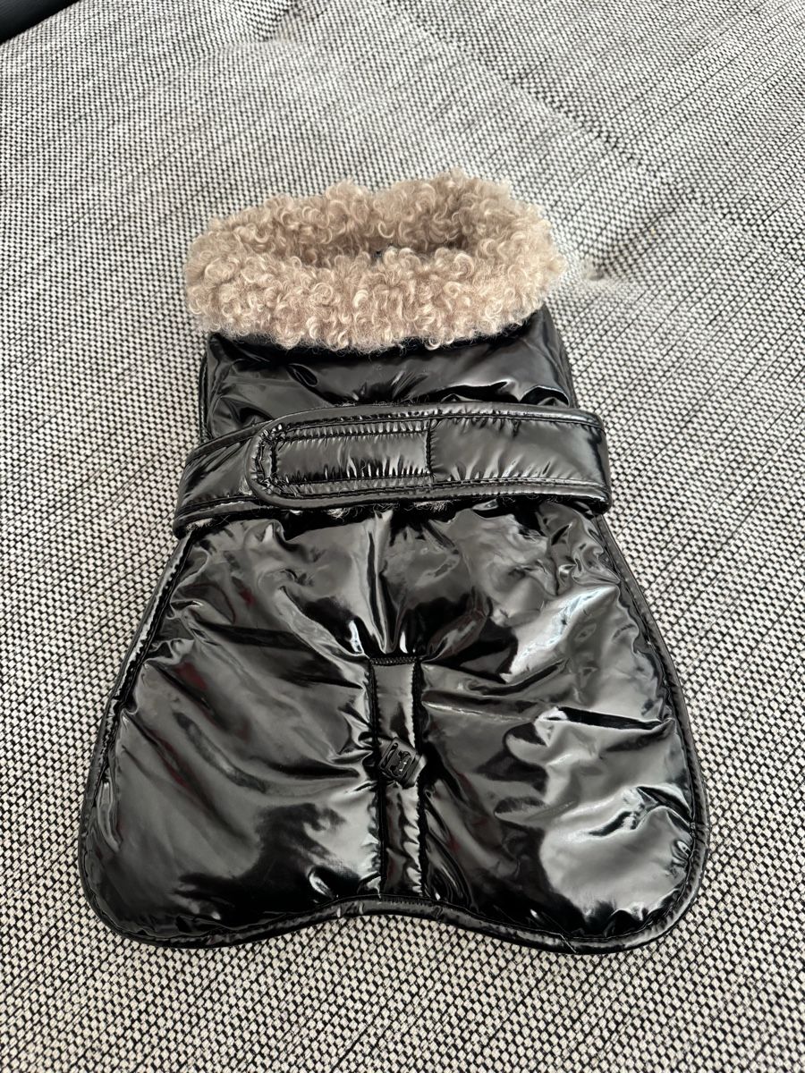 Abbigliamento: Hundejacke – Nuovo (secondo la descrizione) da Bottmingen venduto da Giamonda88