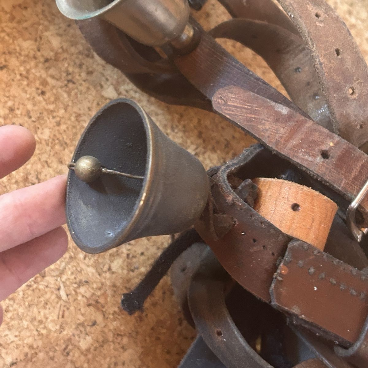 Campanacci mucche: 9 stk Glocken mit Lederriemen ( geisse oder schafe) – Usato da Laufen venduto da belleskulptur 7