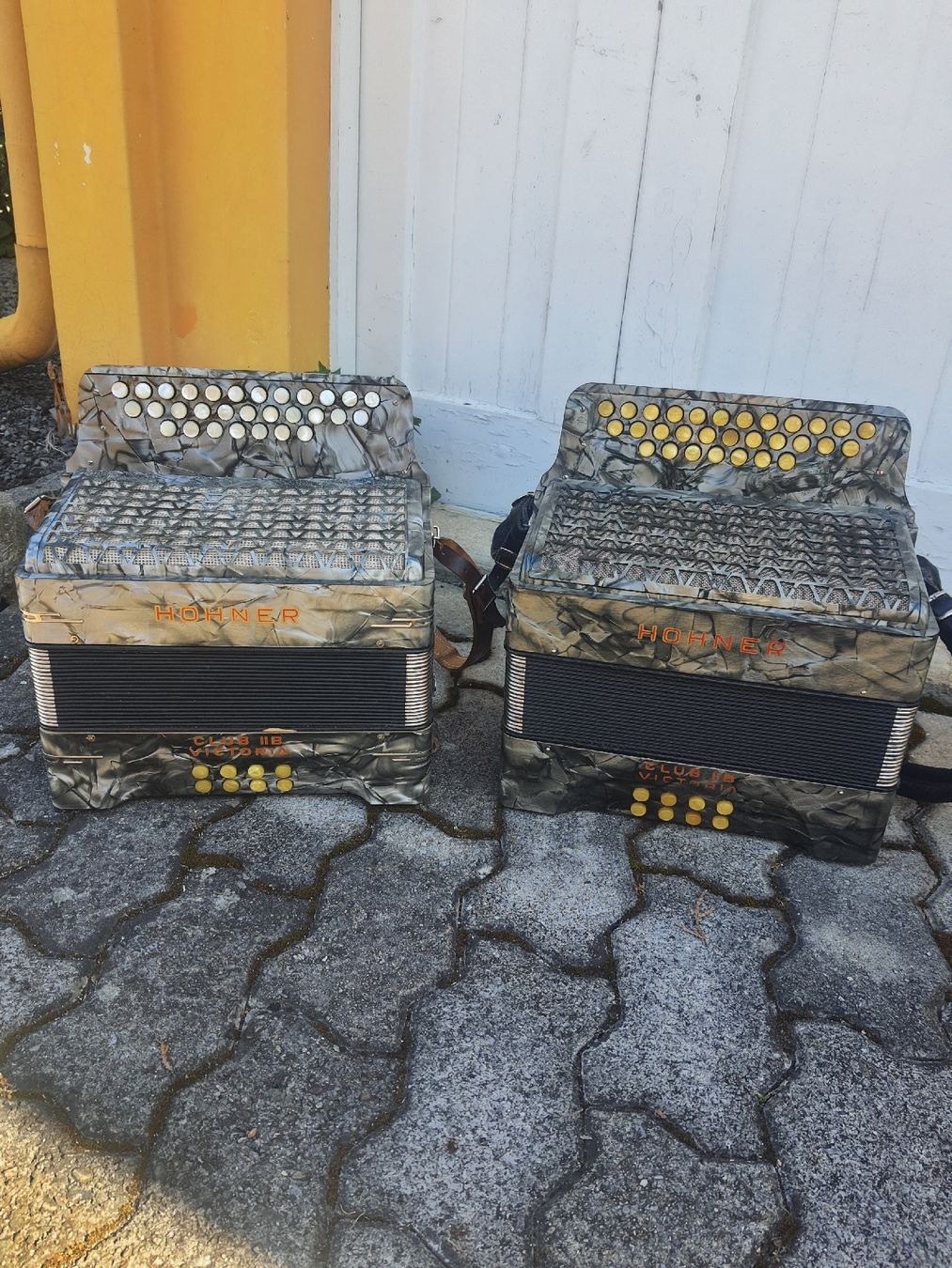 Hohner Strumenti musicali: 2 accordéons diatonique 8 basses hohner – Usato da Pont-de-la-Morge venduto da Mirabelle0 1