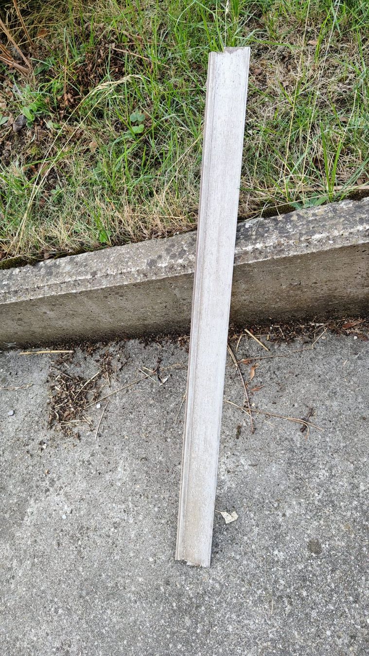 Porte: Eingangstüre  96cmX199.2cm – Usato da Willisau venduto da flabastian 9