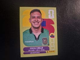 Panini WM 26 ECU 3