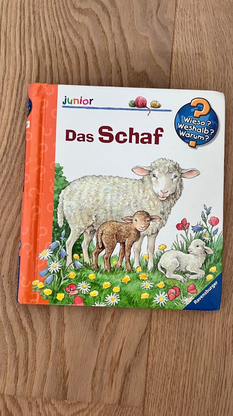 Livres: 7 Kinderbücher – D'occasion à Hinwil par a_walder 6