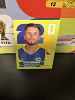 BIH 17 - Panini WM 2026 