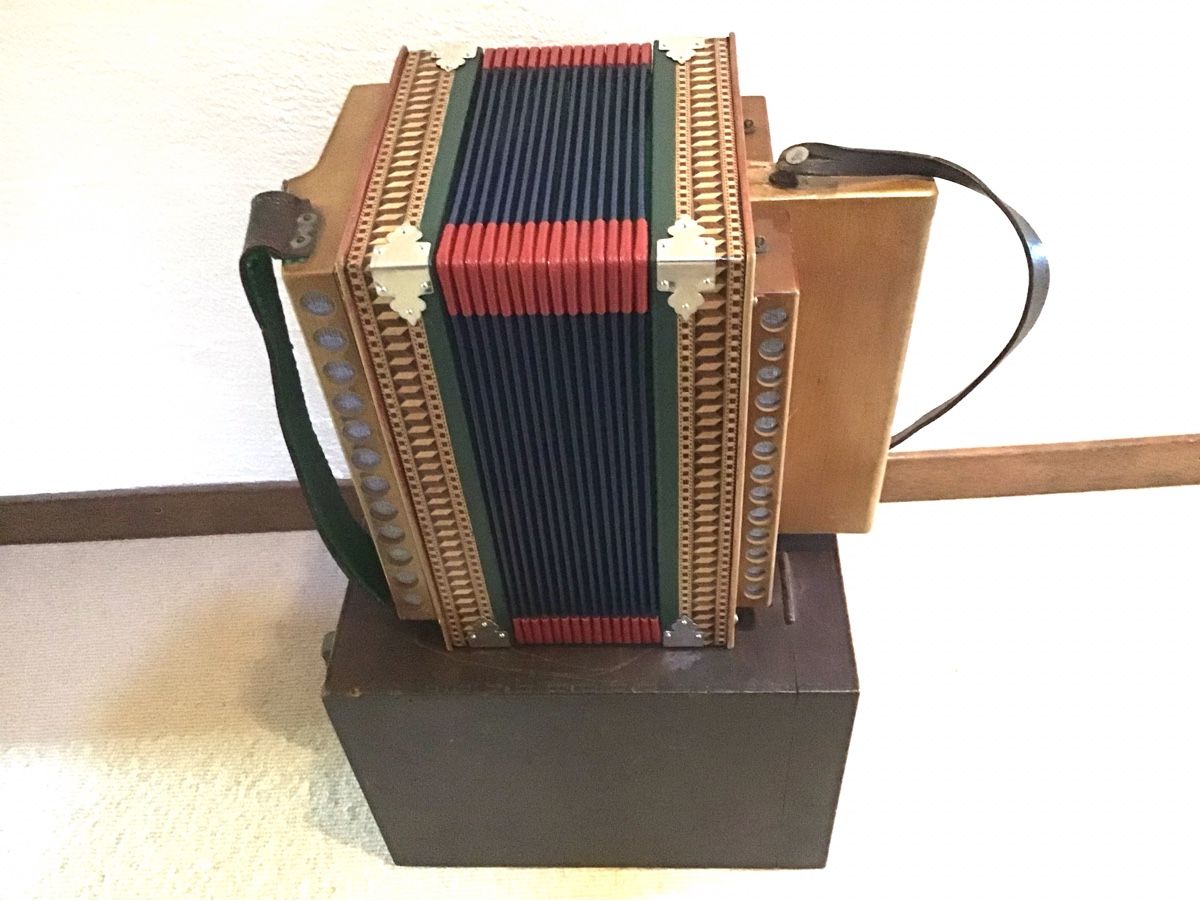 Eichhorn Strumenti musicali: EICHHORN- SCHWYZERÖRGELI IN HOLZKÖFFERLI – Difettoso da Kriens venduto da Helveticus38 2
