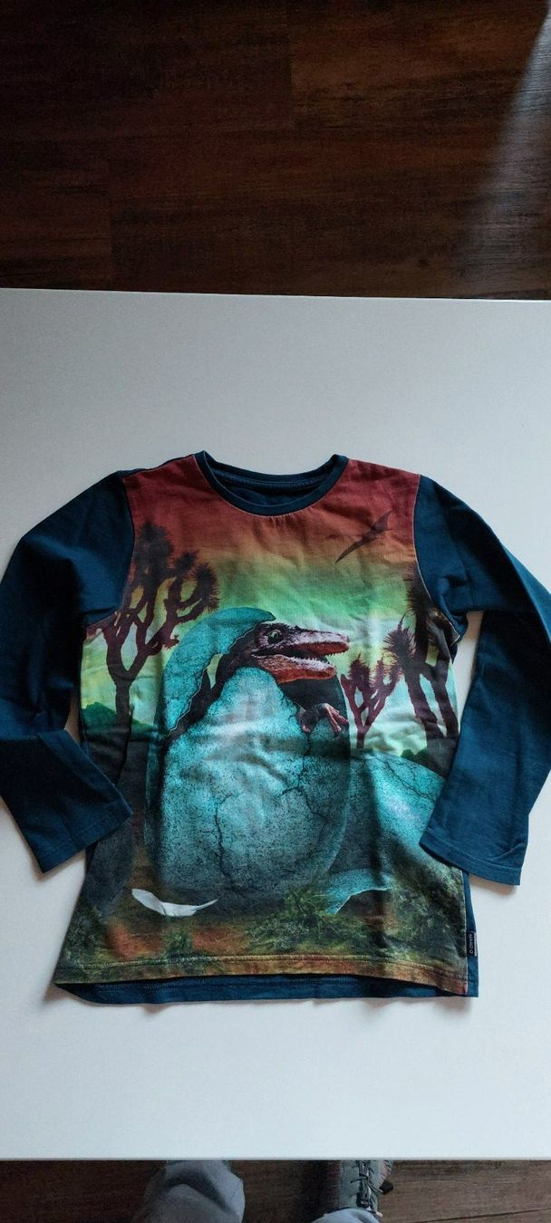 Jako-O Camicie, T-shirt & Polo: Jako-o Shirt langarm 146 / 152 – Usato da Lohn SH venduto da Zwierbel
