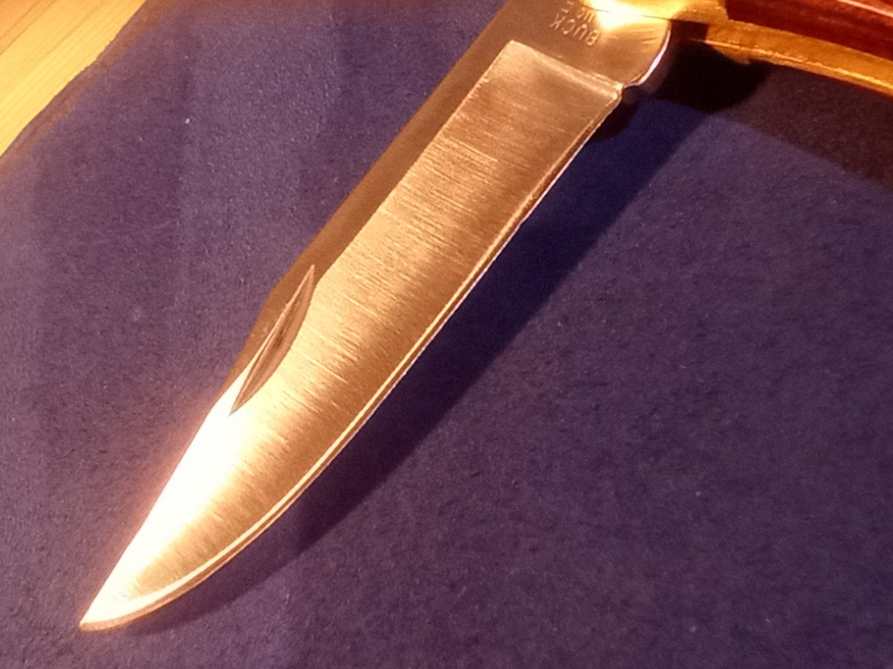 Buck Accessori: BUCK U.S.A 110 C (BJ 1995) Sammler oder Nutzer algem. – Nuovo (secondo la descrizione) da Tuebach venduto da bac_7kpb 3