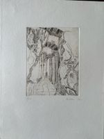 Radierung 34x24cm