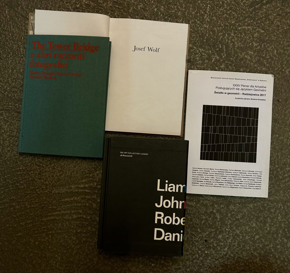 Libri: art, architectures etc. books rarity – Usato da Viganello venduto da marasmamarasma 4