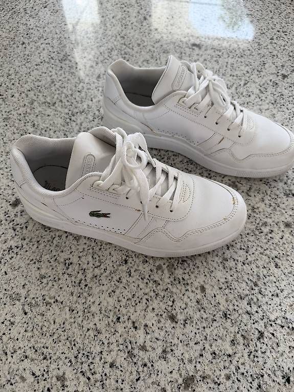 Chaussures hommes: Lacoste Sneaker – D'occasion à Hallwil par Calimerito0969