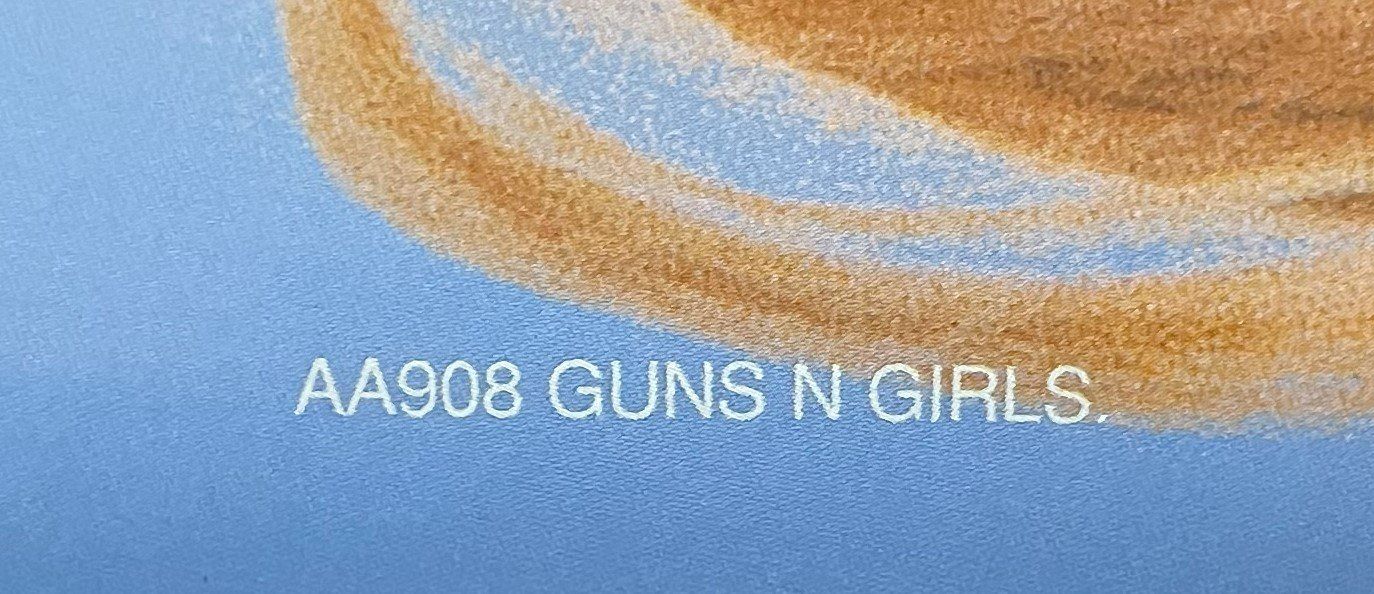 Poster & Bilder: GUNS N GIRLS Posters - AA908 – Neu (gemäss Beschreibung) aus Oftringen von Vucki 3