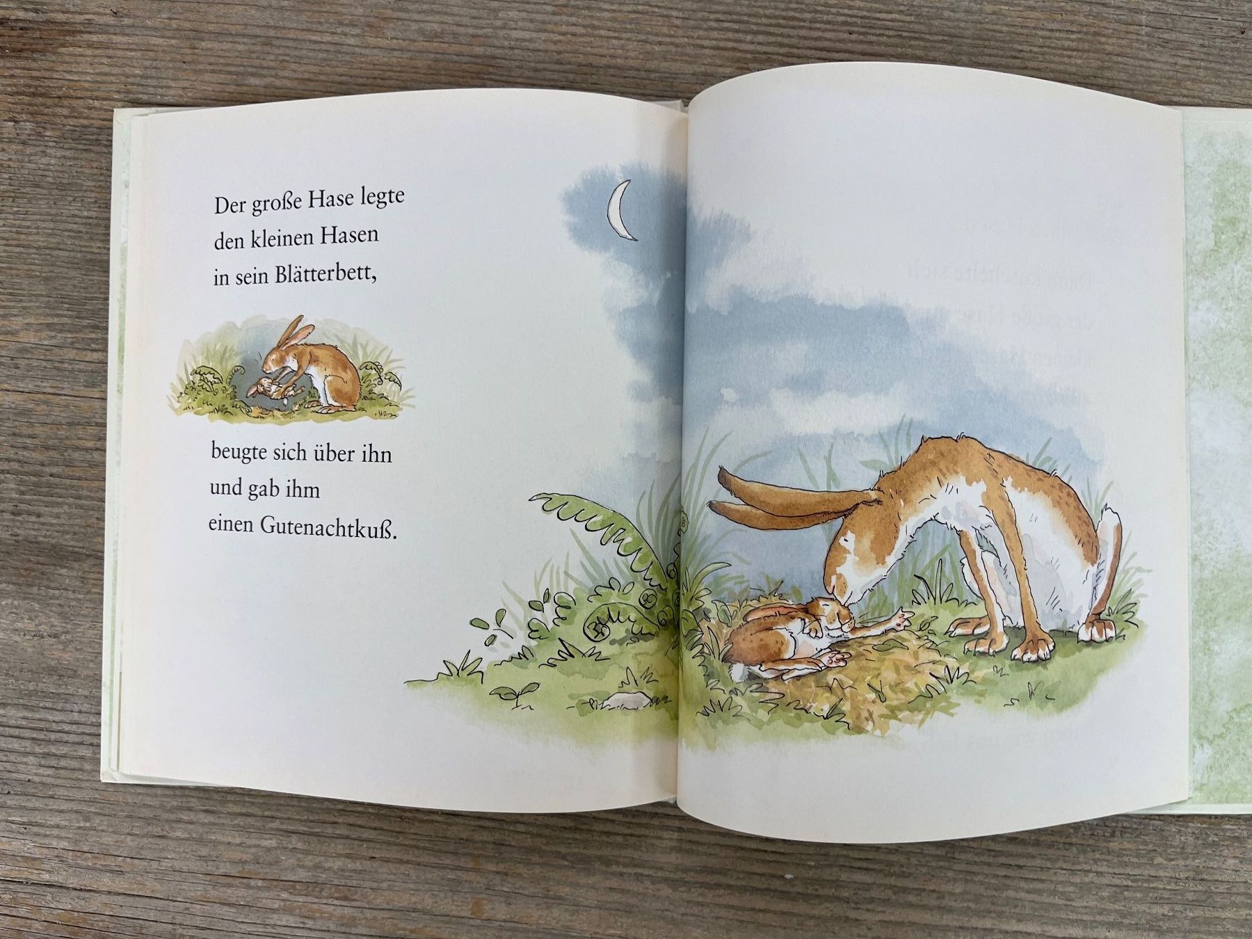 Libri: Weisst du eigentlich, wie lieb ich dich hab? Copyright 1994 – Usato da Pfäffikon ZH venduto da buresi 7