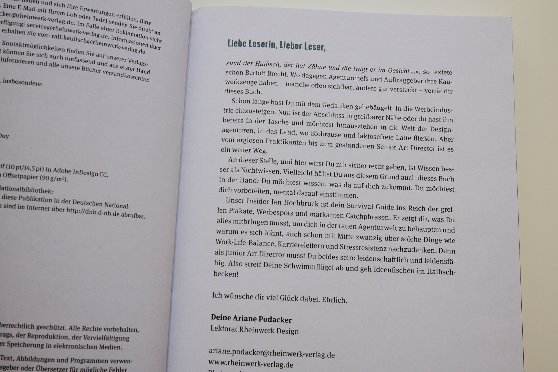 Libri: Der Survival Guide für junge Designer – Usato da Scherz venduto da Neogeo5000 3