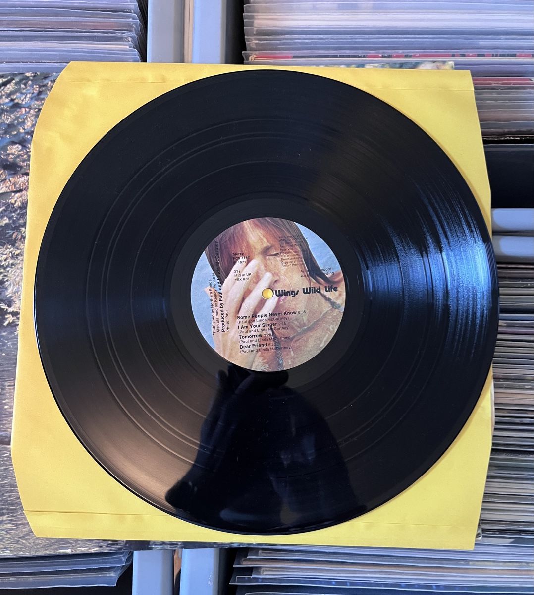 Dischi in vinile: Wings wild life lp paul mccartney – Usato da Liestal venduto da TKocher 2