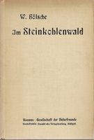 Im Steinkohlenwald 1918