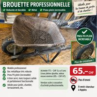 🛠️ Brouette professionnelle robuste – 65 CHF