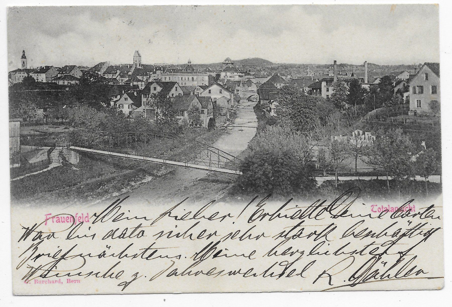 Cartoline postali: Frauenfeld um 1903 Totalansicht – Usato da Hefenhofen venduto da Richsalz