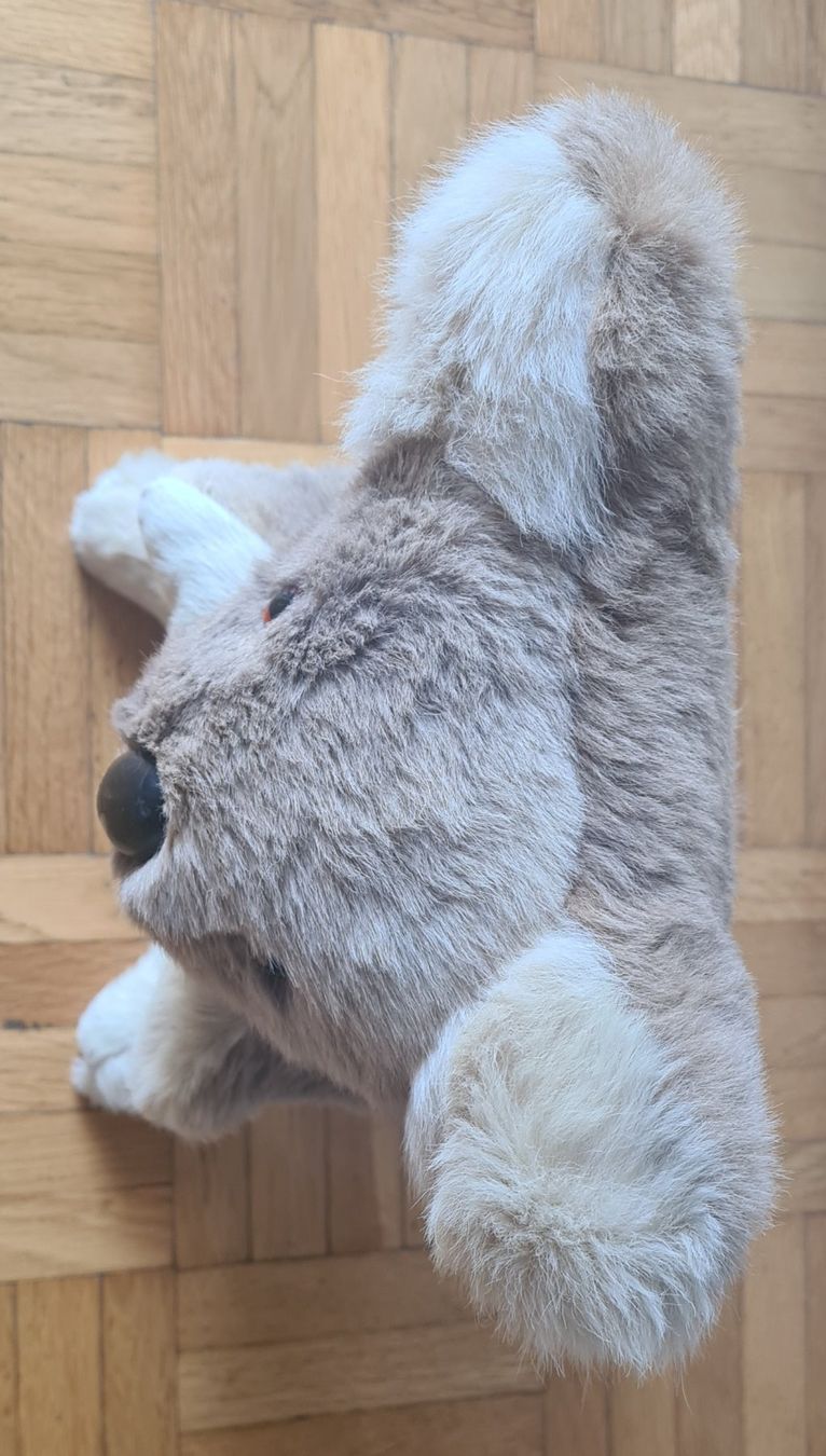 Tutte le decorazioni: Plüschtier Koala – Usato da Zürich venduto da tku755 1