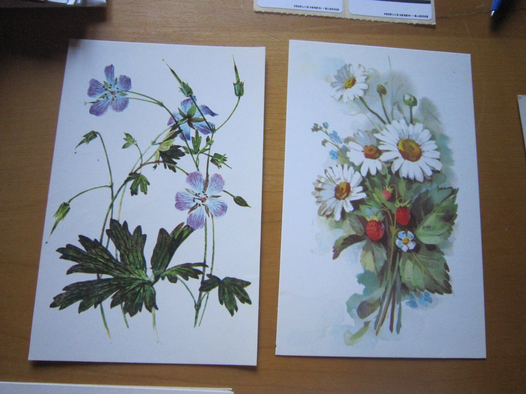 Cartes postales: No 2 Postkarte Blumen 1925 – D'occasion à Gordola par Polentaefung 1