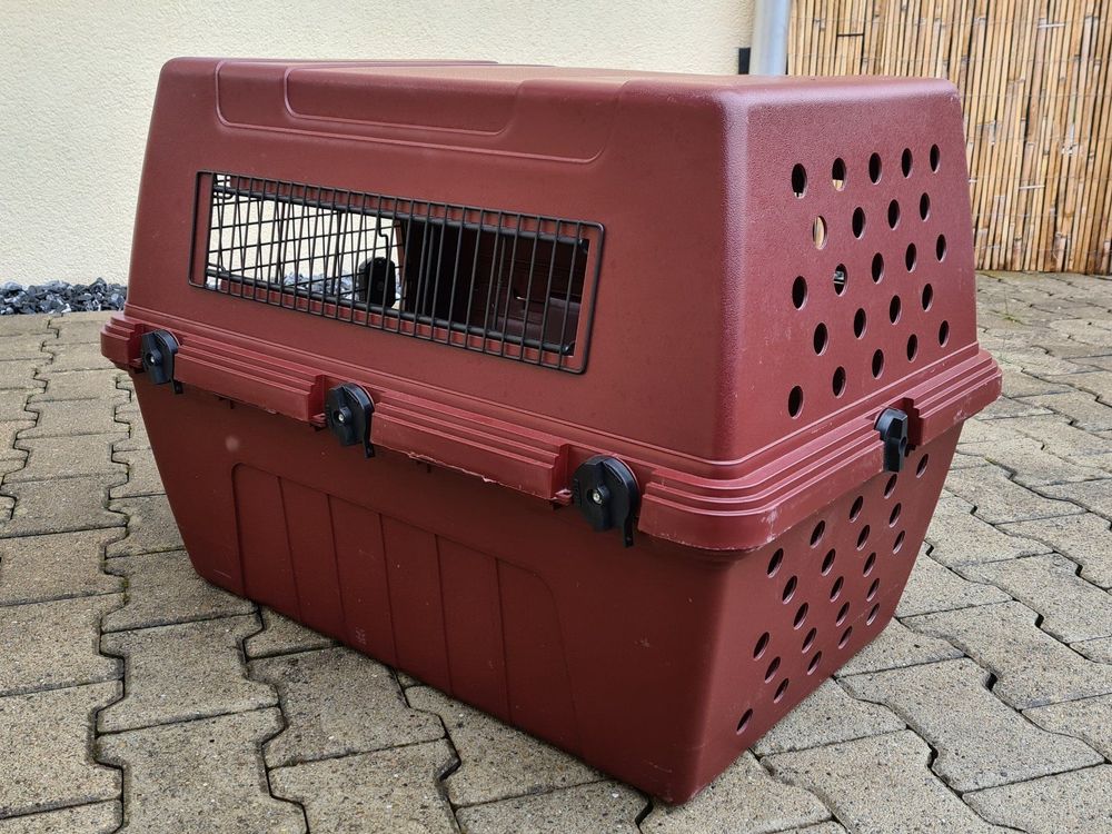 Petmate deluxe 2024 vari kennel jr