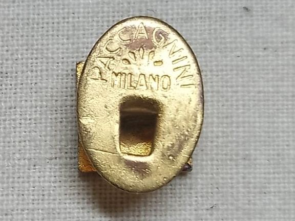 Swiss Plaquettes & Badges: Svizzera - Italia - "CIS". – D'occasion à Sorengo par 74in 1