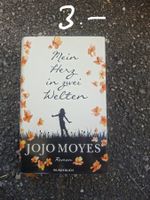Buch: Mein Herz in zwei Welten (3. Teil)