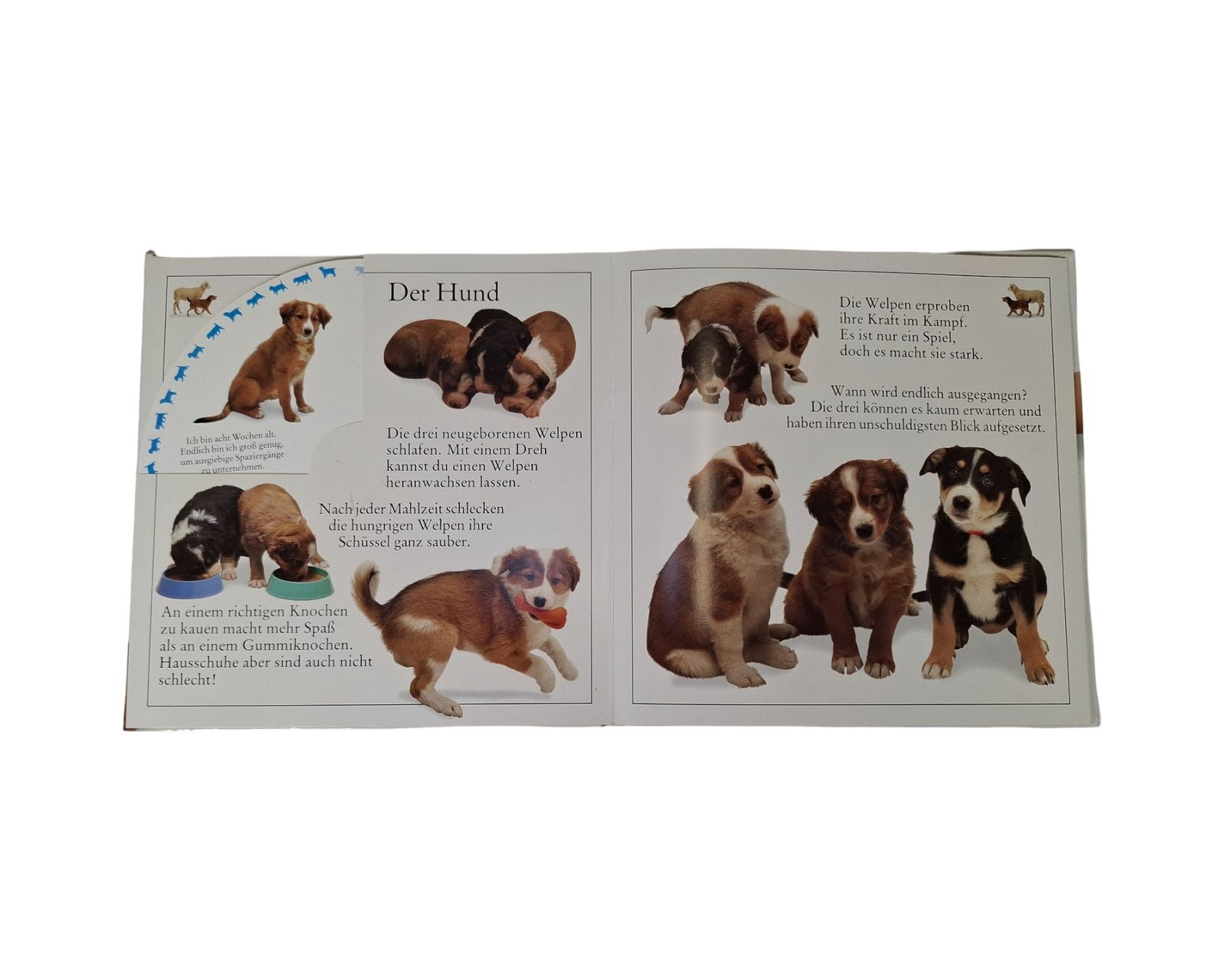 Libri: FELICITAS Buch Das Tierkinder-Karussell – Usato da Wil SG venduto da Restwert_Wil 3