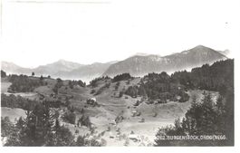 Ennetbürgen NW Obbürgen Trogenegg Bild 2 (Drogenegg) 1940