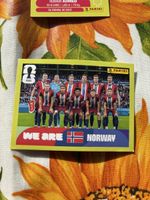 Panini FIFA World Cup 2026 Sticker United Edition NOR 13