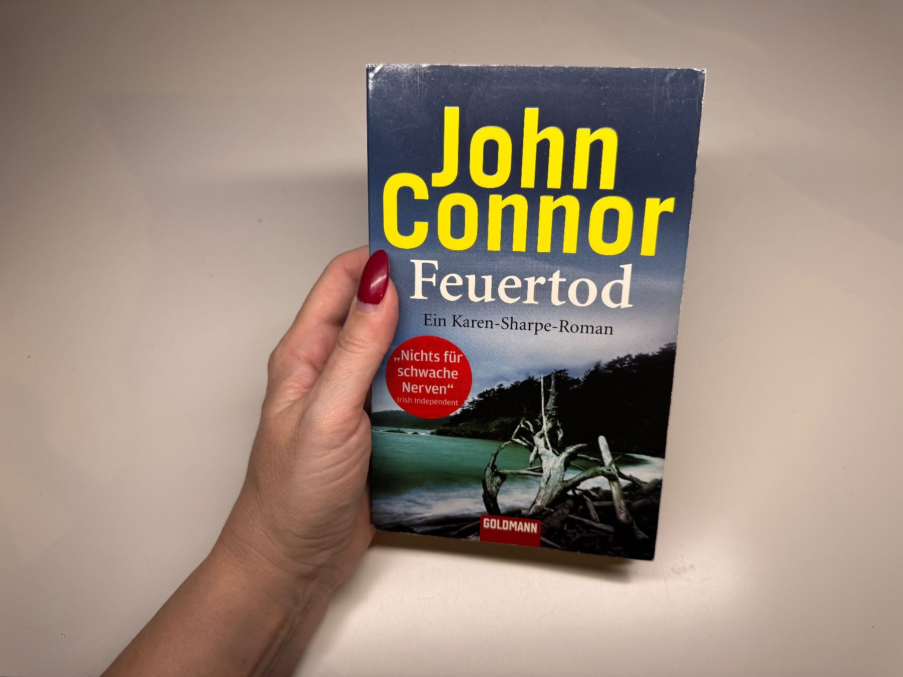Bücher: ROMAN: John Connor, Feuertod – Gebraucht aus Grosswangen von Deutsche_Romane