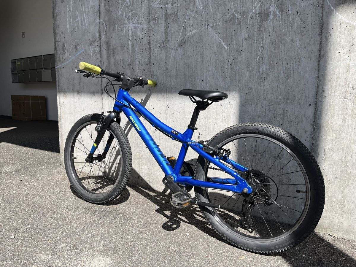 Bergamont Biciclette: Kindervelo Bergamont – Usato da Bremgarten b. Bern venduto da vezia79 7