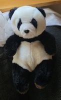 Koala bär Plüschtier wunder schön siehe Foto