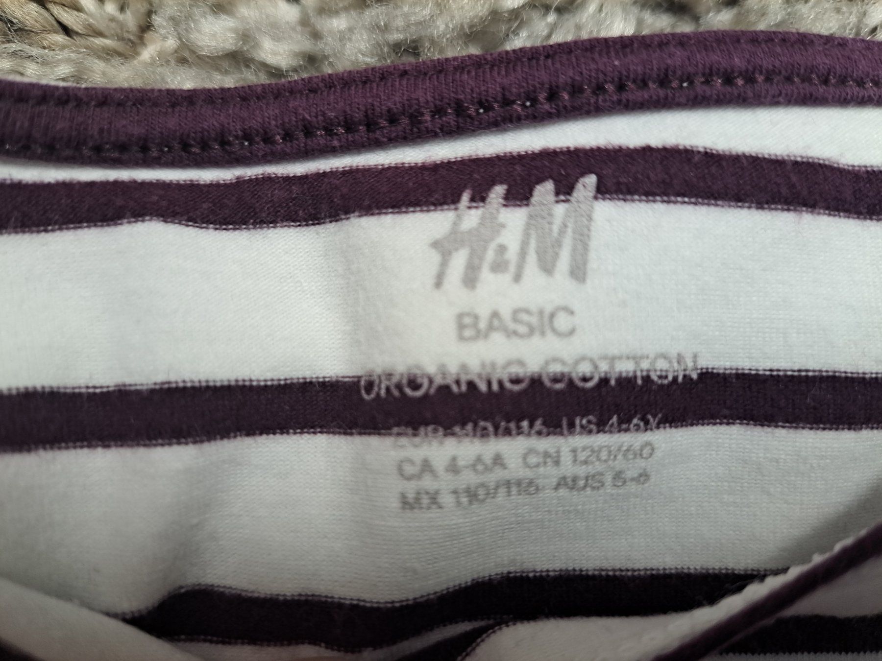 H&M Maglioni & Felpe: H&M Sweatshirt  Grösse 110 – Usato da Kaltbrunn venduto da Nili133 2