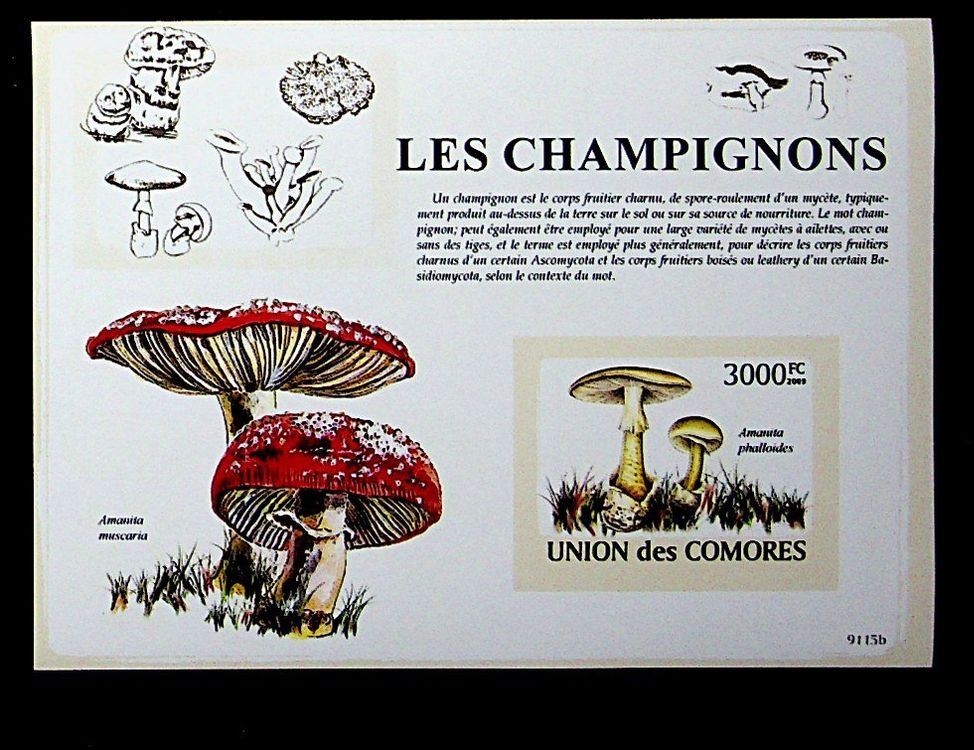 Comores - Minéraux - Feuillet neuf ** de 2011 - MONDE/Timbres / Feuillets - Ventes philatéliques Comores - Minéraux - Feuillet neuf ** de 2011 - MONDE/Timbres / Feuillets - Ventes philatéliques
