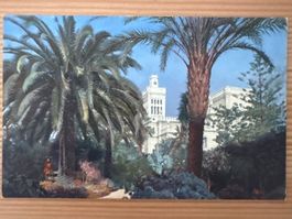 Antike Ansichtskarte, ITALIEN, San Remo, Riviera di Ponente