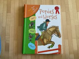 Ponies and horses