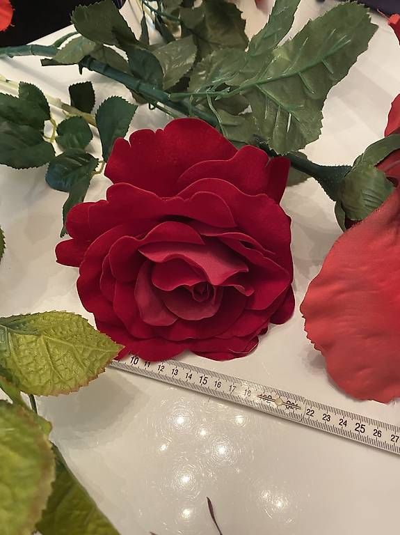 Vasi per fiori: Blumen – Usato da Zürich venduto da MAJAM65 2