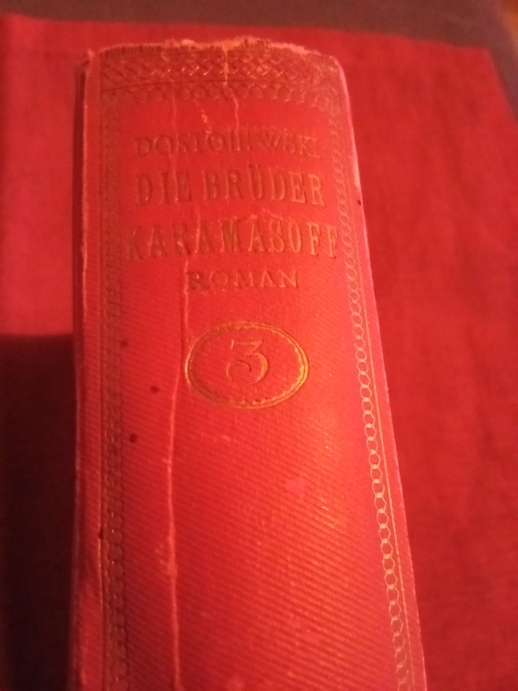 Libri: Fjodor M. Dostojewski - Die Brüder Karamasoff 1921 – Usato da Remetschwil venduto da Privatflohmi 1