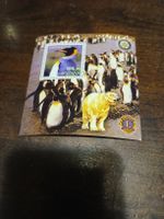 Carte postale : Manchots et ours polaire - Lions Club!