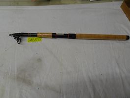 Angelrute (DAM) (Länge 3.0m, 60-160g) (NEU!)