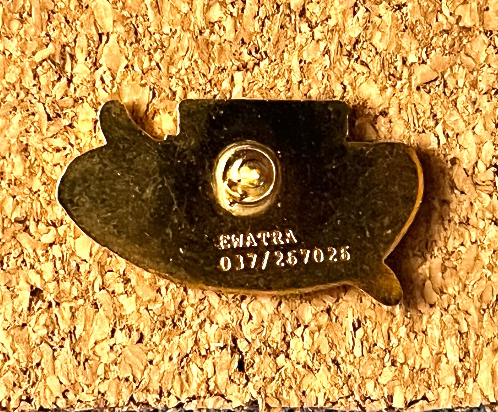 Placchette & Badge: Pin fromage - Raclette Mazot – Usato da Renan BE venduto da johncactus 1