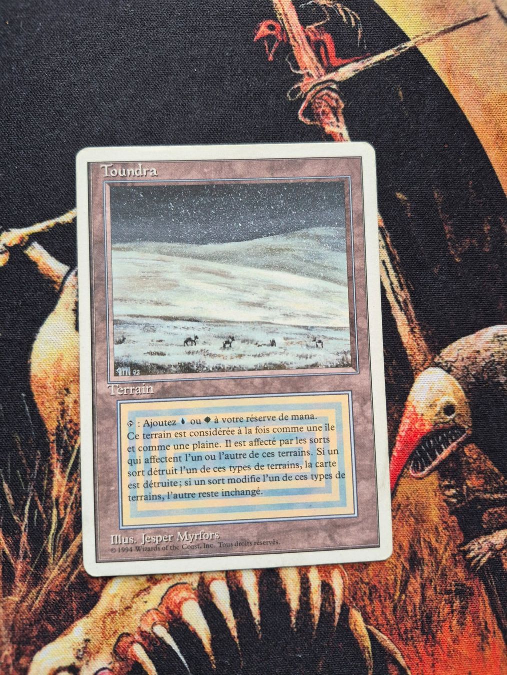 Magic The Gathering Carte collezionabili: Toundra – Usato da Gampelen venduto da sebest95