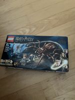 LEGO Harry Potter Aragog im Verbotenen Wald 76434 neu